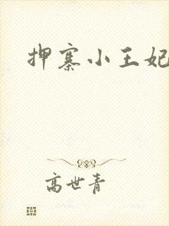 押寨小王妃