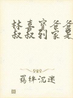 林喜宝爸爸叫李叔叔到家是哪一集