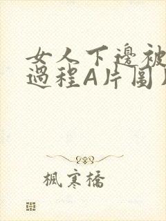 女人下边被添全过程A片图片小说