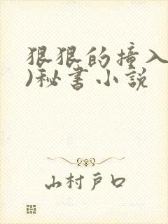 狠狠的撞入(h)秘书小说