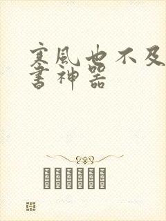 寒风也不及她追书神器