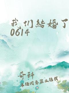 我们结婚了130614