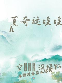 夏奇迹暖暖快穿h