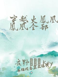 穿越火凤凰干火凤凰全部