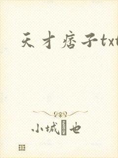 天才痞子txt