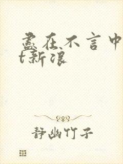 尽在不言中txt新浪