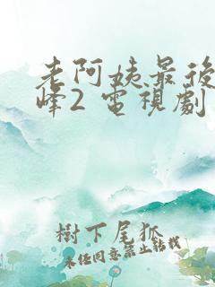 老阿姨最后的巅峰2 电视剧