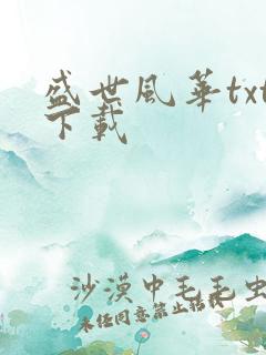 盛世风华txt下载