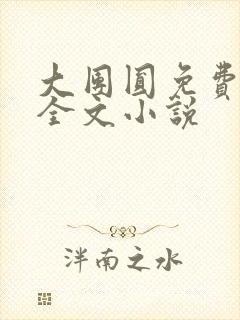 大团圆免费阅读全文小说