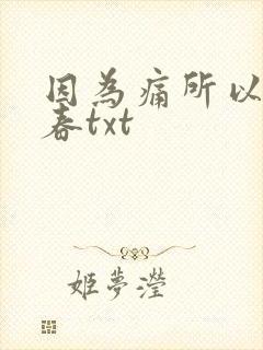 因为痛所以叫青春txt