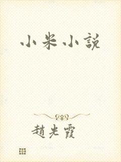 小米小说