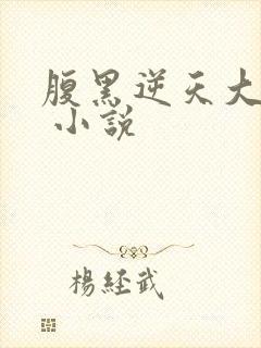 腹黑逆天大小姐 小说