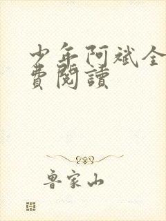 少年阿斌全文免费阅读