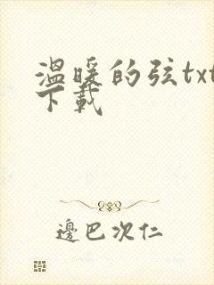 温暖的弦txt下载