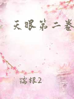 天眼第二卷