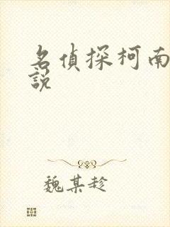 名侦探柯南h小说