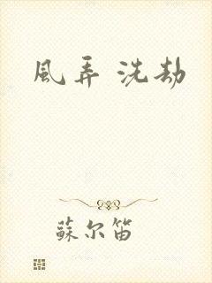 风弄 洗劫