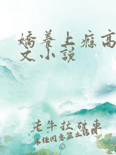 娇养上瘾高H爽文小说