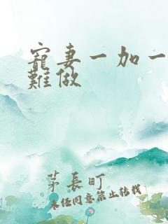 宠妻一加一老婆难做
