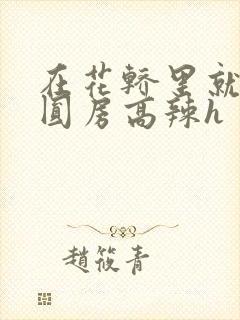 在花轿里就开始圆房高辣h