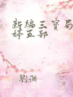 新编三宝局长许婷五部