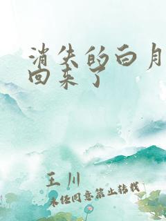 消失的白月光又回来了