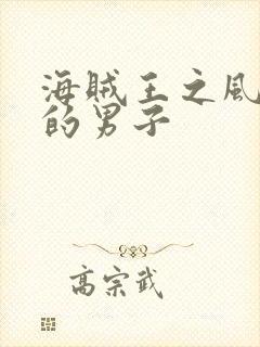 海贼王之风一样的男子