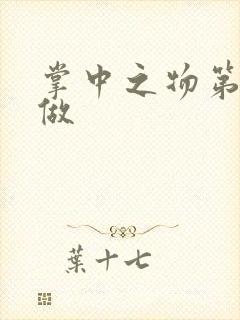 掌中之物第一次做