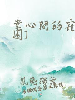 掌心间的宠[校园]