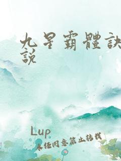 九星霸体诀 小说
