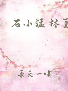 石小猛 林夏