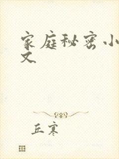 家庭秘密小说全文