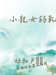小龙女的乳头