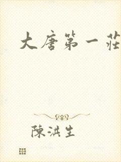 大唐第一庄