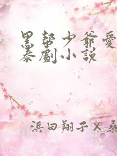 黑帮少爷爱上我泰剧小说