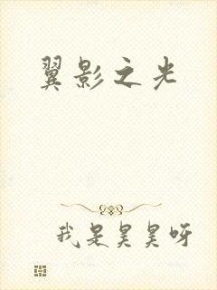 翼影之光