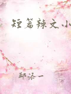 短篇辣文小说