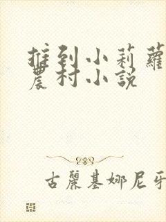 推到小莉萝稚嫩农村小说