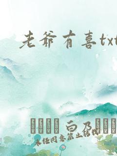 老爷有喜txt