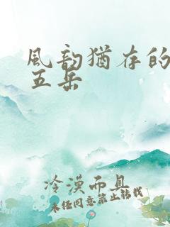 风韵犹存的四十五岳