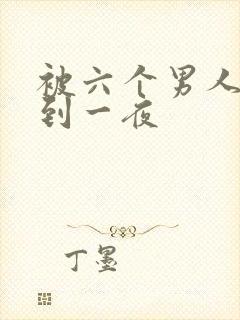 被六个男人躁J到一夜