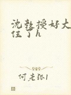 沈教授好大含不住了h