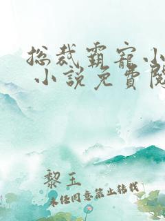 总裁霸宠小娇妻 小说免费阅读