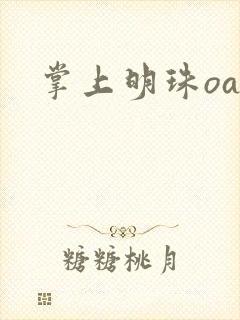 掌上明珠oa