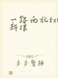 一路向北txt新浪