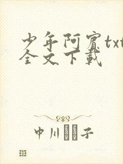 少年阿宾txt全文下载