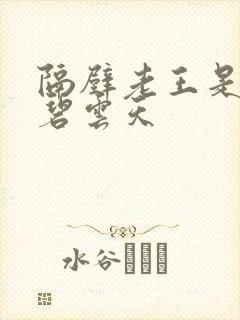 隔壁老王是皇帝碧云天