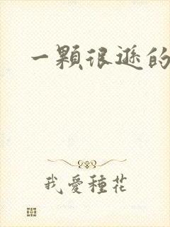 一颗很逊的卤蛋