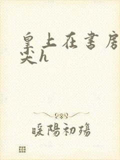 皇上在书房含乳尖h