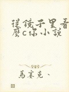 从镜子里看我怎么c你小说